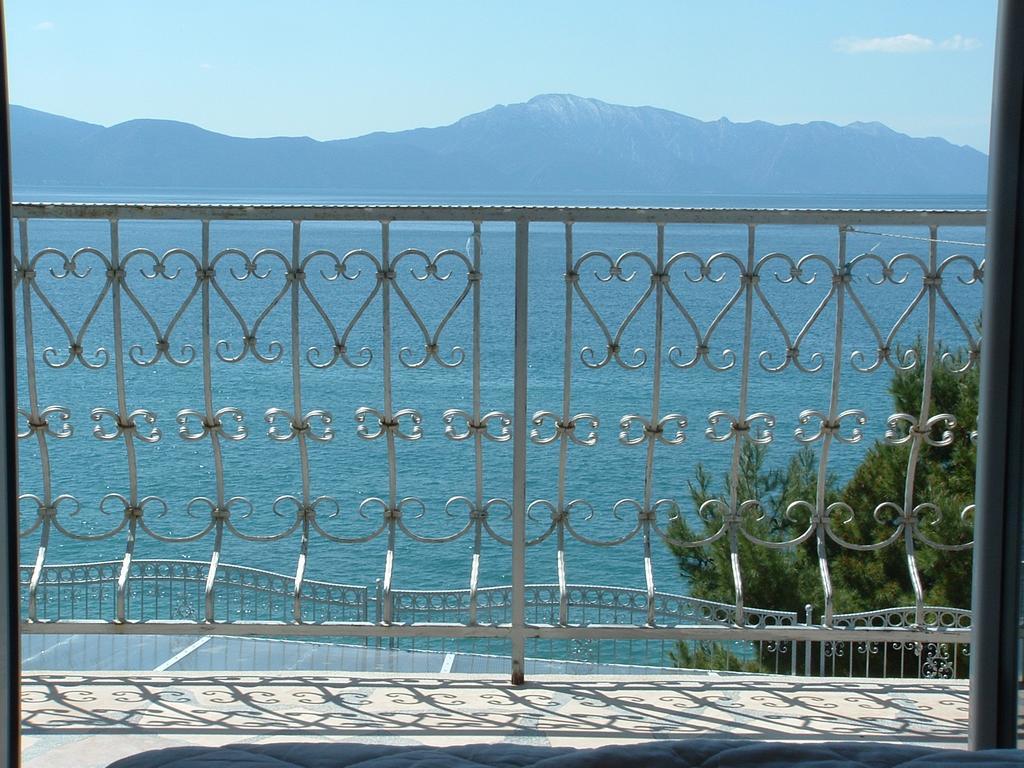 Guesthouse Kod Irene Gradac  Zewnętrze zdjęcie