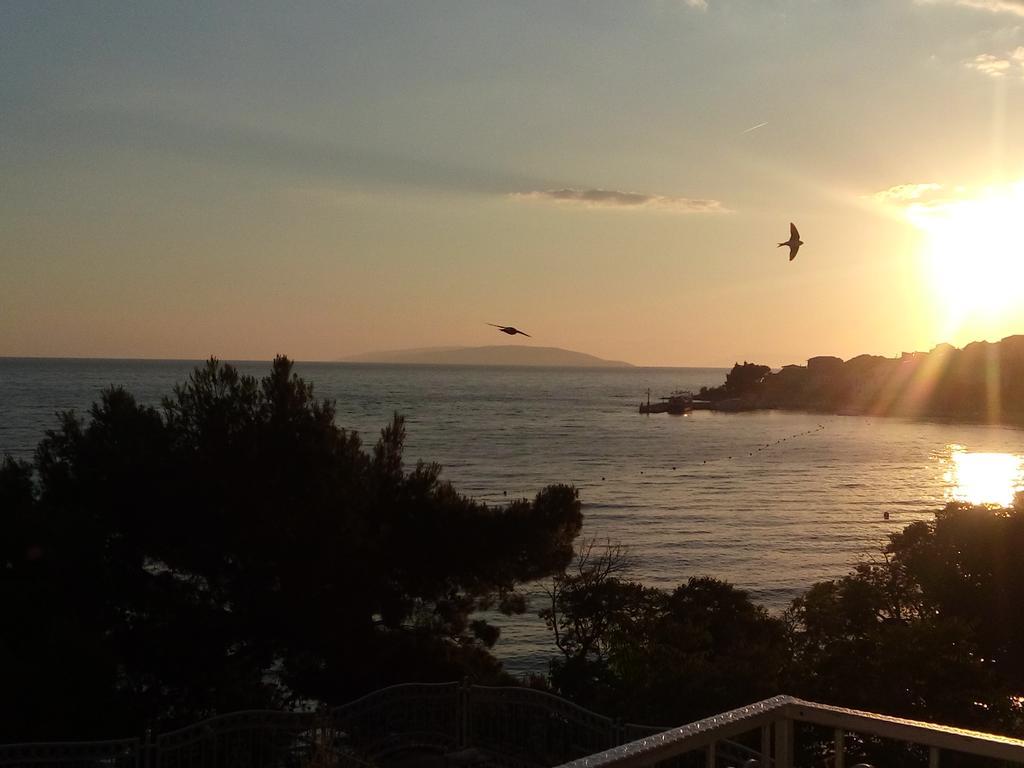 Guesthouse Kod Irene Gradac  Zewnętrze zdjęcie